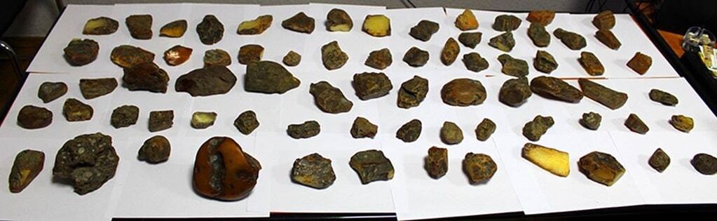 Янтарные войны: СБУ задержала группу преступников во главе со священником