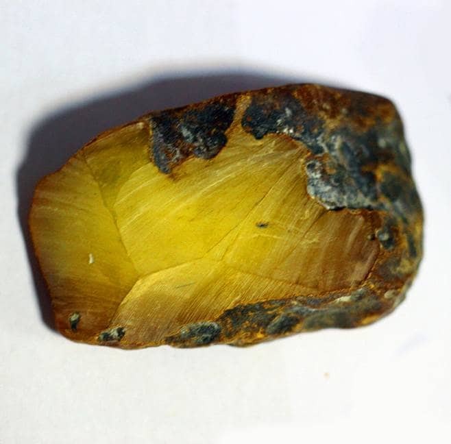 Янтарные войны: СБУ задержала группу преступников во главе со священником