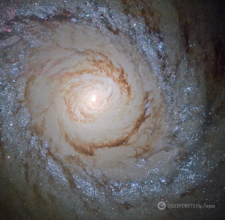 Неземная красота:  NASA показала уникальное фото "мерцающей" галактики