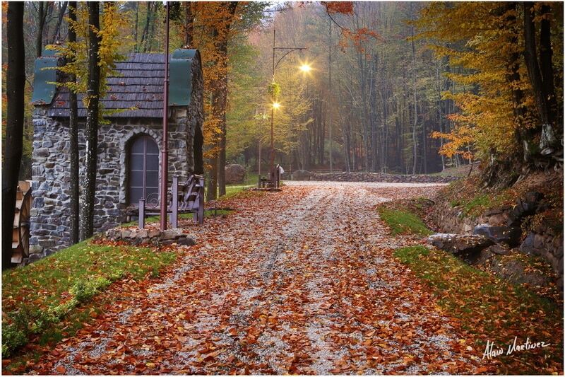 Как выглядит осень в одном из самых красивых парков Украины