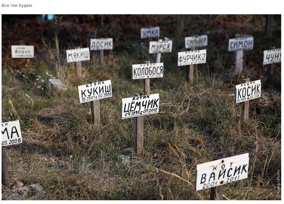 Російський блогер "ледь не помер від сміху" на київському кладовищі тварин