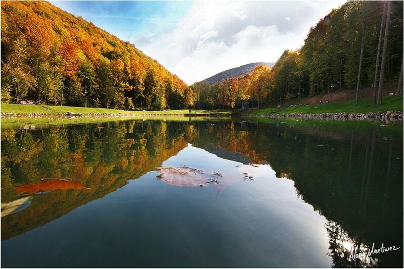 Как выглядит осень в одном из самых красивых парков Украины