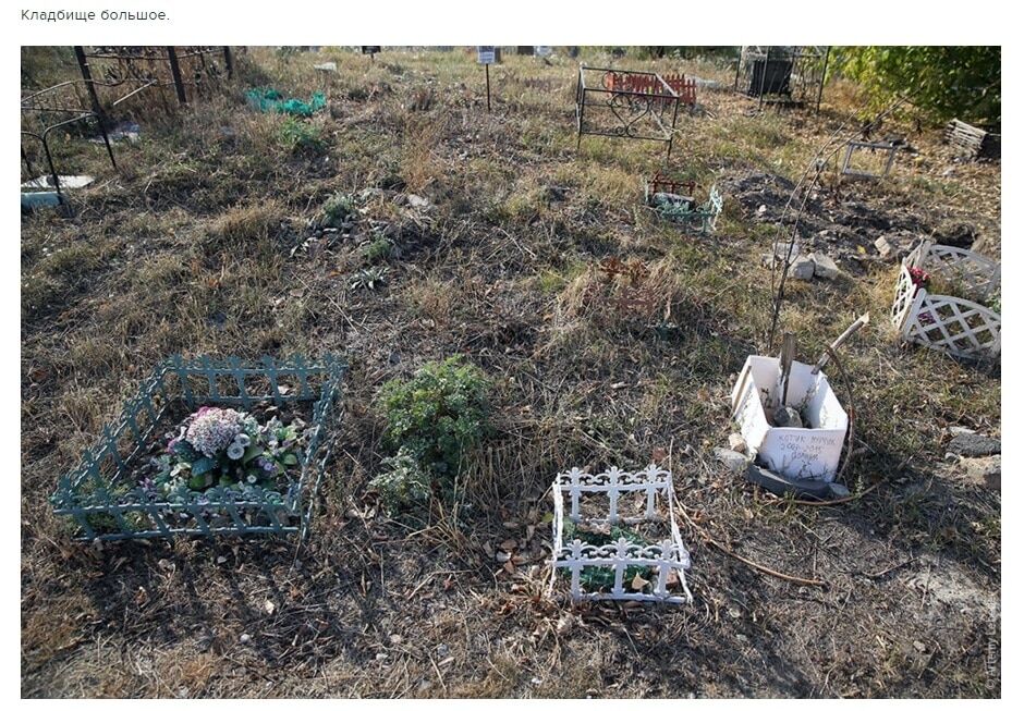 Російський блогер "ледь не помер від сміху" на київському кладовищі тварин