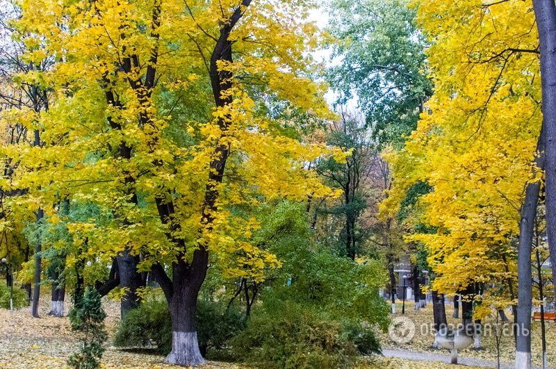 Как Киев выглядит осенью: самые красивые места