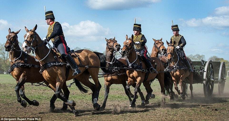 Солдаты королевы: война и мир британской армии в фотографиях