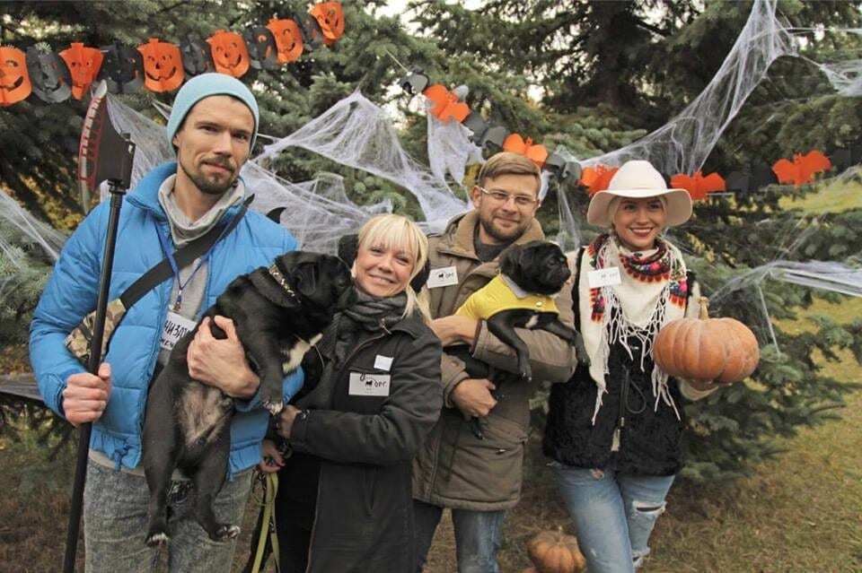 Мимишность зашкаливает! В Киеве провели "хеллоуинскую мопсопати": фоторепортаж