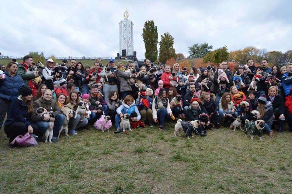 Мимишность зашкаливает! В Киеве провели "хеллоуинскую мопсопати": фоторепортаж