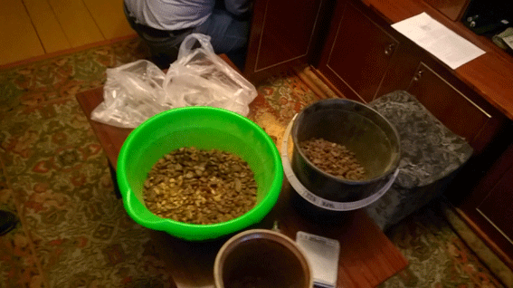 В Ривненской области изъяли 15 кг янтаря на миллион гривен