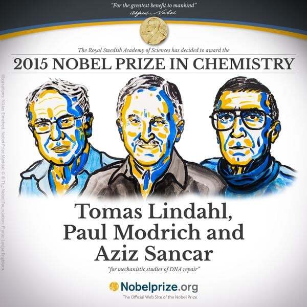 Нобелівську премію з хімії дали за репарації ДНК