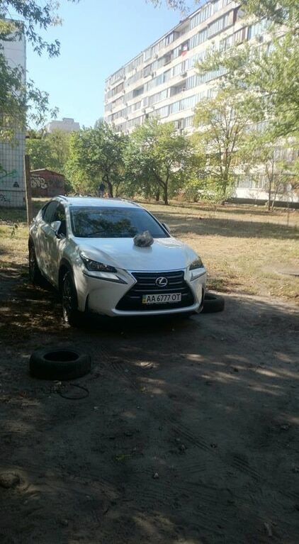 В Киеве Lexus наказали за неправильную парковку: фотофакт