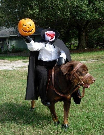 Топ-30 смешных костюмов для собак на Хэллоуин: веселые фото