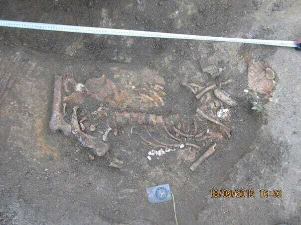 Боец провел археологические раскопки прямо в зоне АТО: опубликованы фото