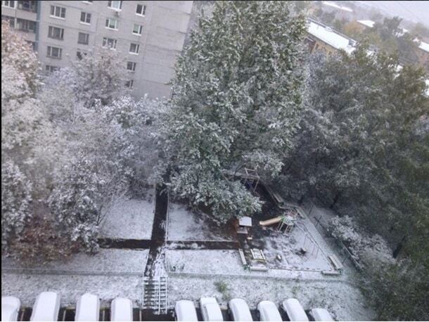 Москву завалило снегом: опубликованы фото и видео