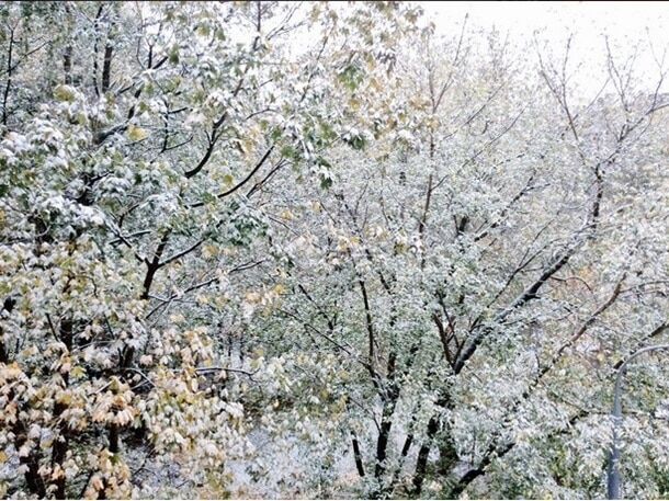 Москву завалило снігом: опубліковані фото і відео