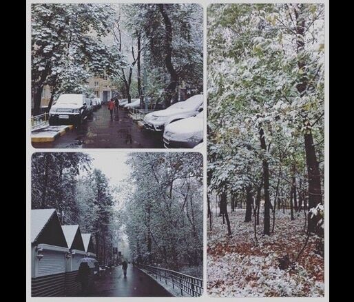 Москву завалило снегом: опубликованы фото и видео