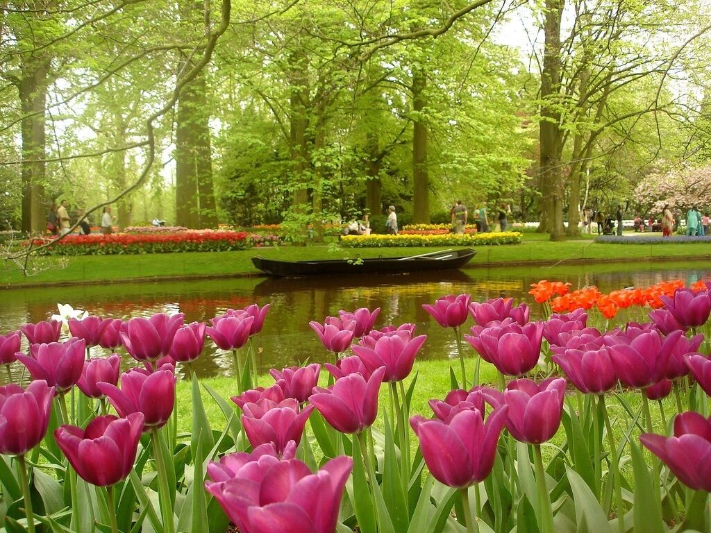 Знаменитый на весь мир парк тюльпанов