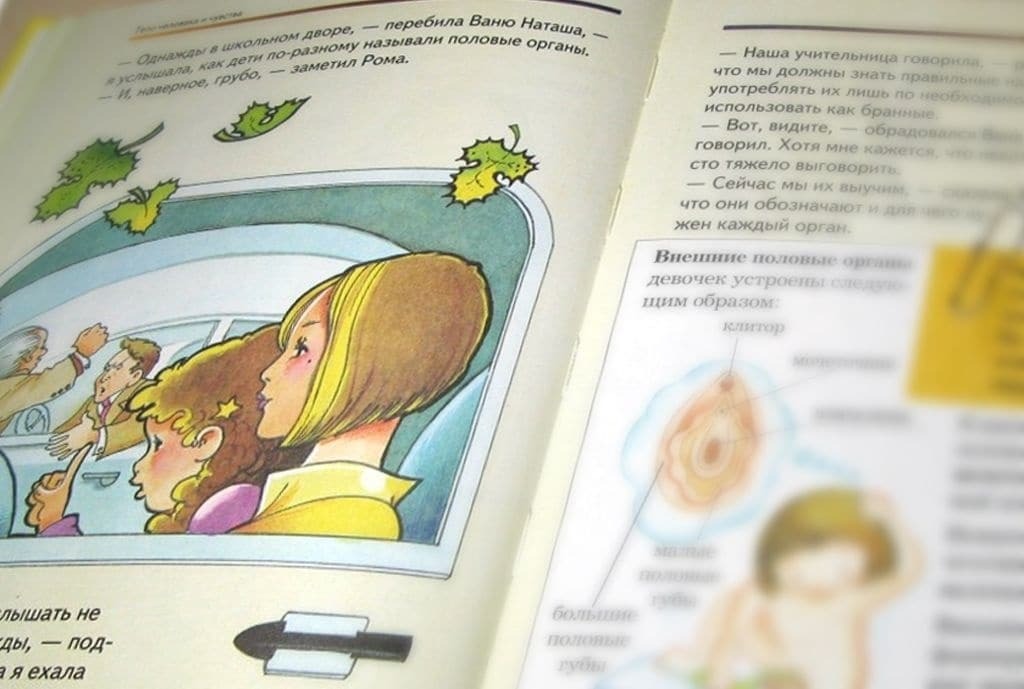 Елена Ваенга обматерила российские книжки для детей