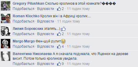 Бачиш кролика? А їх - два! Соцмережі підірвало нове фото Яценюка