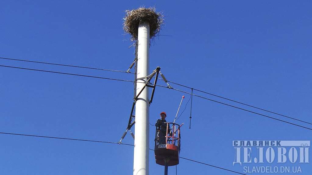 Останній герой: на Донбасі для хороброго лелеки встановили гніздо. Фоторепортаж