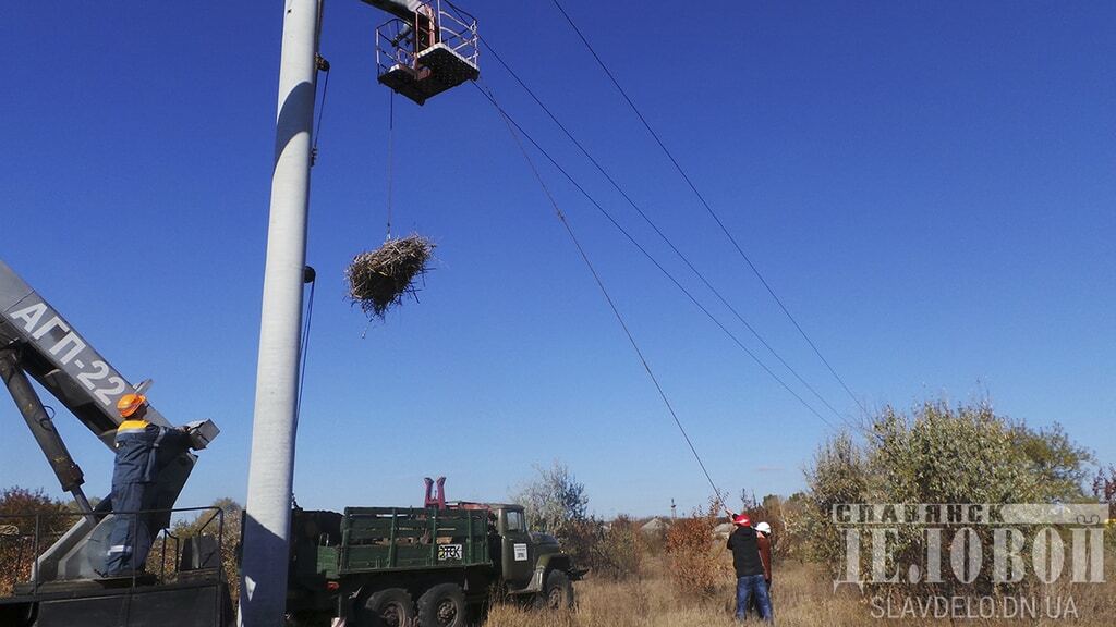 Последний герой: на Донбассе для храброго аиста установили гнездо. Фоторепортаж