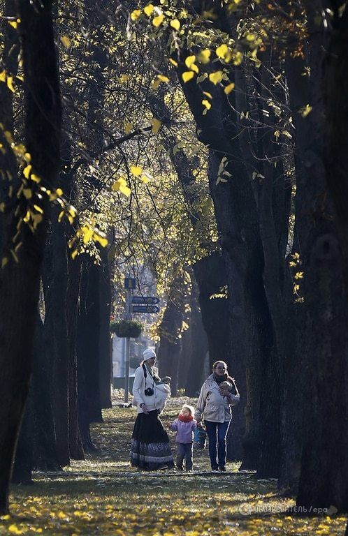 Как золотая осень превратила Киев в сказку: опубликованы фото