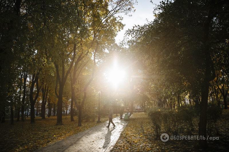 Как золотая осень превратила Киев в сказку: опубликованы фото