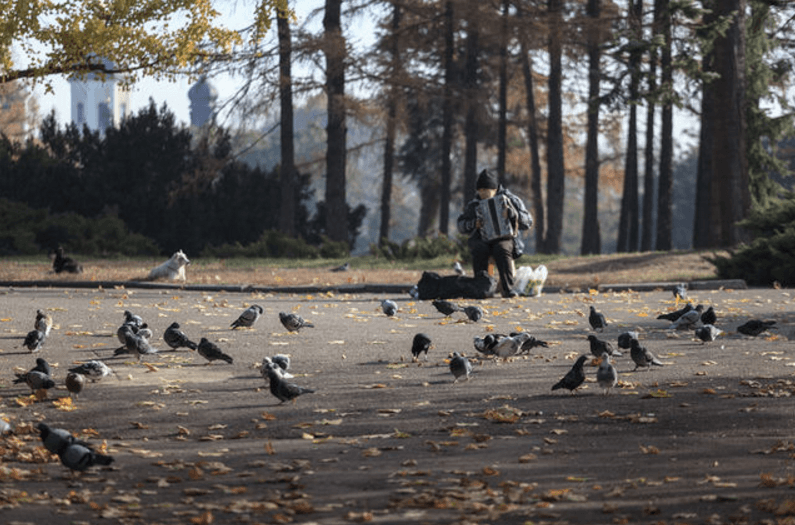Как золотая осень превратила Киев в сказку: опубликованы фото