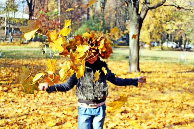 Как золотая осень превратила Киев в сказку: опубликованы фото