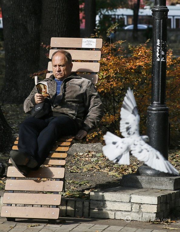 Как золотая осень превратила Киев в сказку: опубликованы фото