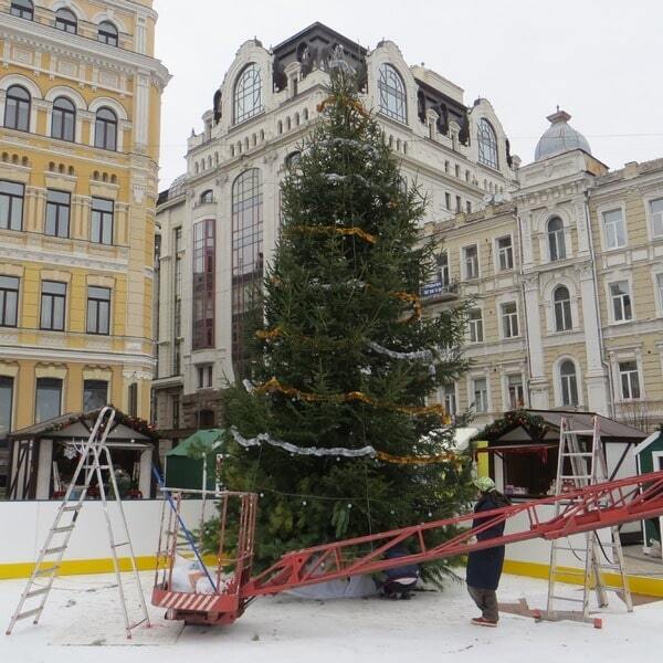 У центрі Києва встановили першу новорічну ялинку: опубліковані фото