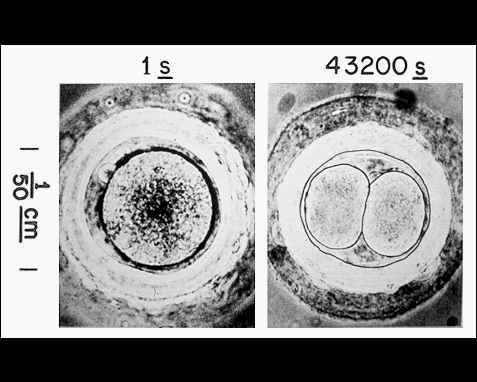 Привіт, інопланетянин: 116 фотографій, які НАСА відправило у далекий космос