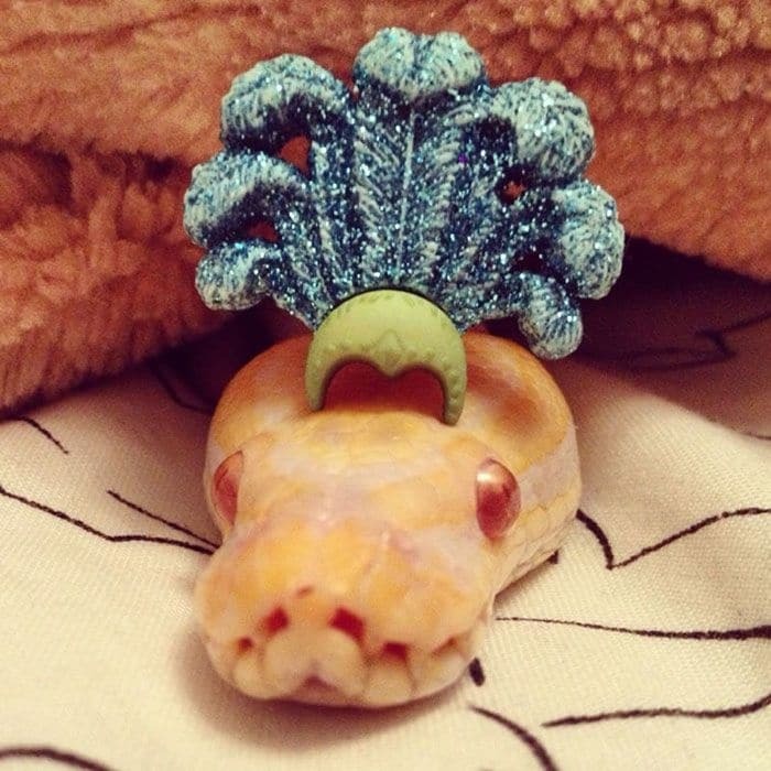 Змеи в шляпках: сеть покорили рептилии-модницы