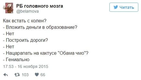 Соцсети оценили надписи россиян на 100-летних кактусах в Крыму