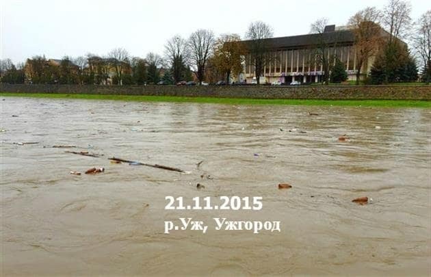 Потоп на Закарпатье: селевые потоки и оползни заблокировали движение транпорта