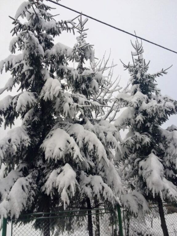 В Украину пришла зимняя сказка: снежные фото Карпат