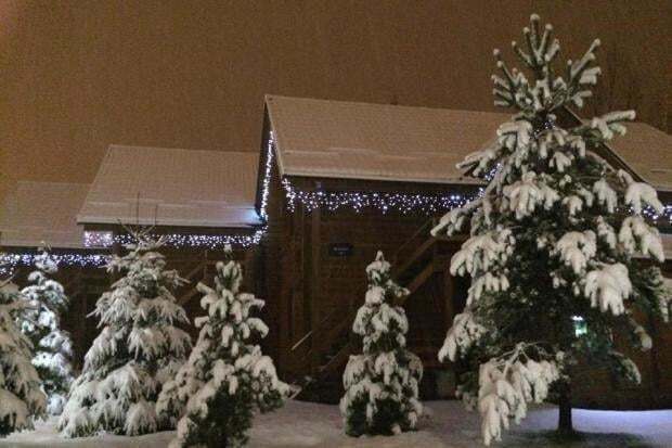 В Украину пришла зимняя сказка: снежные фото Карпат