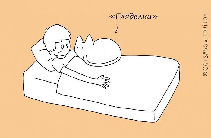 Как правильно спать с человеком: инструкция для кошек