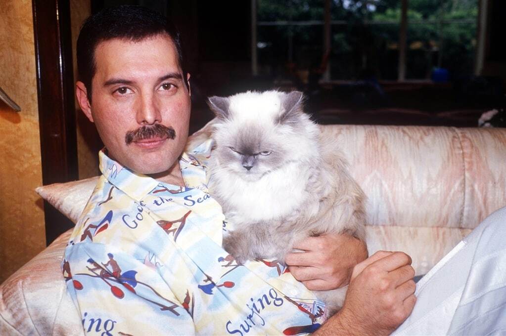Фредди Меркьюри – 24 года со дня смерти вокалиста Queen