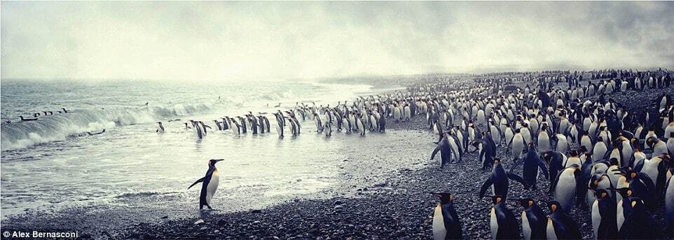 На краю земли: фотограф показал суровую красоту Антарктики при -90°C