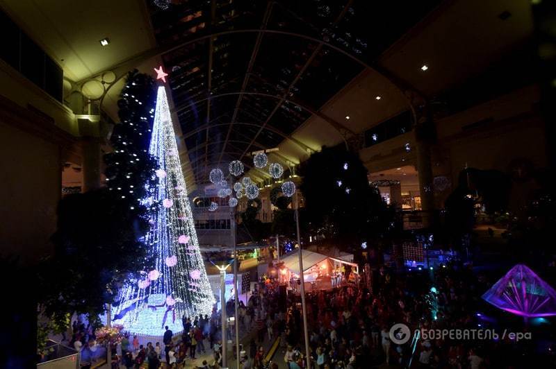 В Австралии установили самую яркую новогоднюю елку: фото красавицы