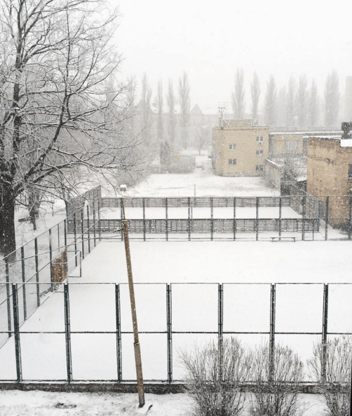 У Києві випав перший сніг: опубліковані фото