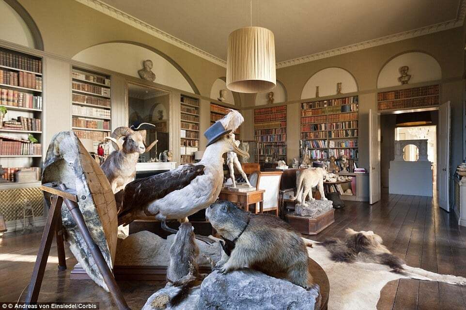 Дом с самым дорогим интерьером в мире: уникальные чучела зверей и старинная библиотека