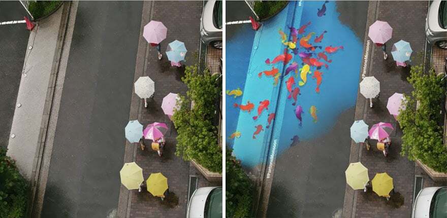 Улицы Кореи после дождя украсили "невидимые" картины: фотофакт