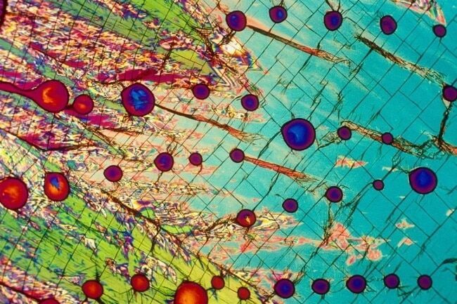 Вещи под микроскопом: 25 потрясающих кадров