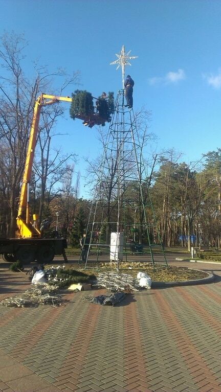 У київському парку встановили ялинку-конус: фотофакт