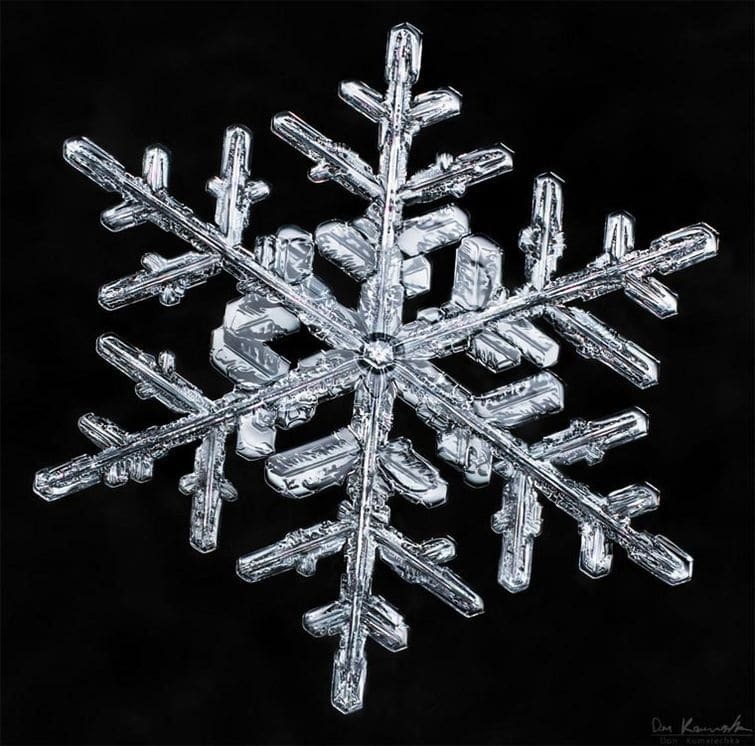 Казкова краса: 20 дивовижних макрофото сніжинок