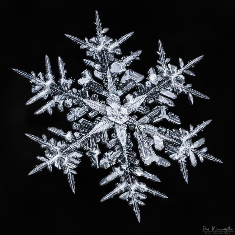 Сказочная красота: удивительные макрофото снежинок