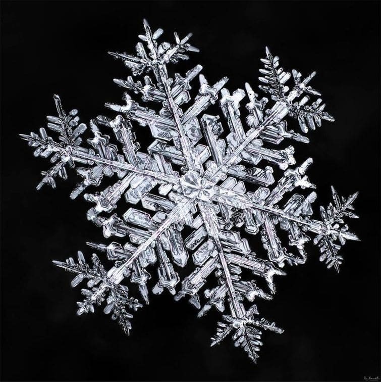 Казкова краса: 20 дивовижних макрофото сніжинок
