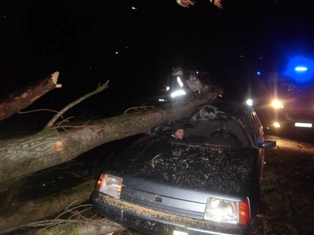 На Киевщине дерево упало на автомобиль: трое пострадавших