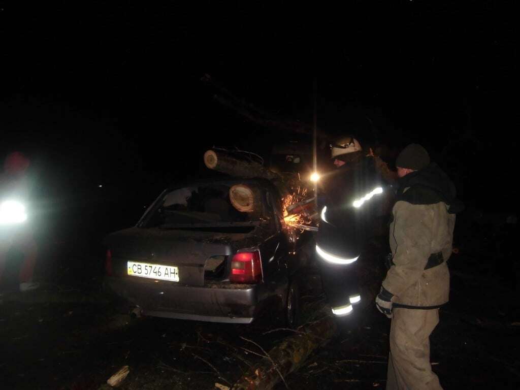 На Київщині дерево впало на автомобіль: троє постраждалих